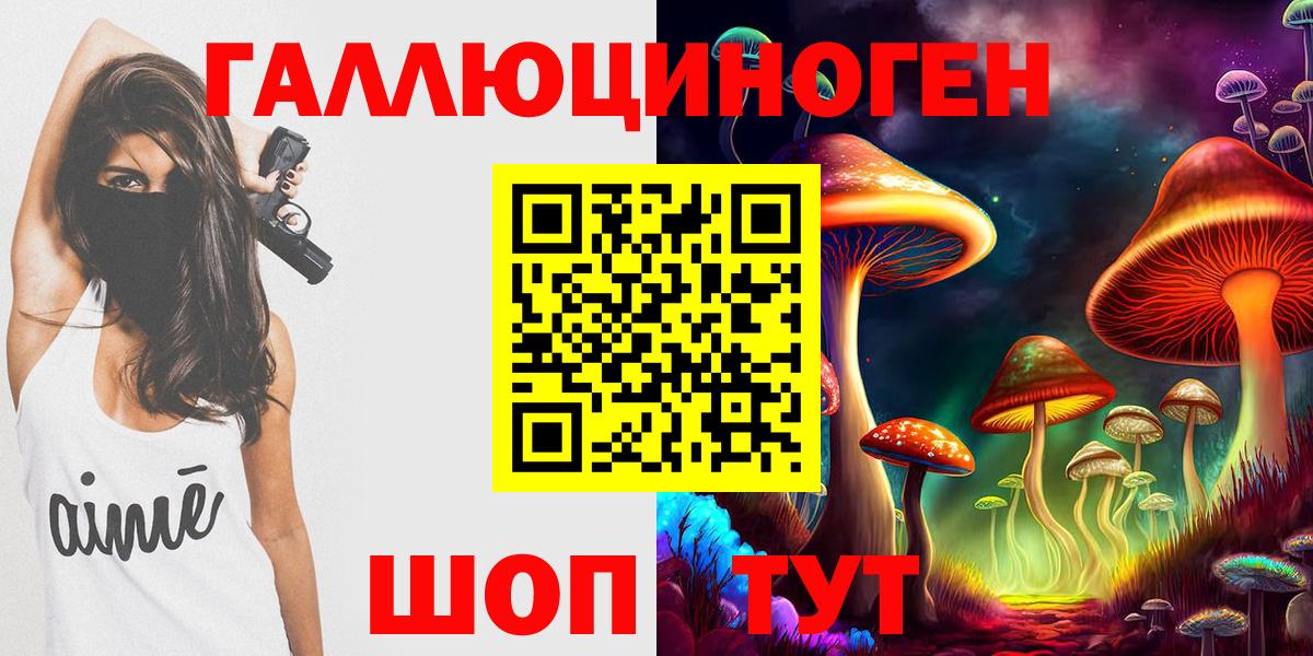 Выборг  наркошоп  Вход с VPN  Галлюциногенные грибы Psilocybe 
