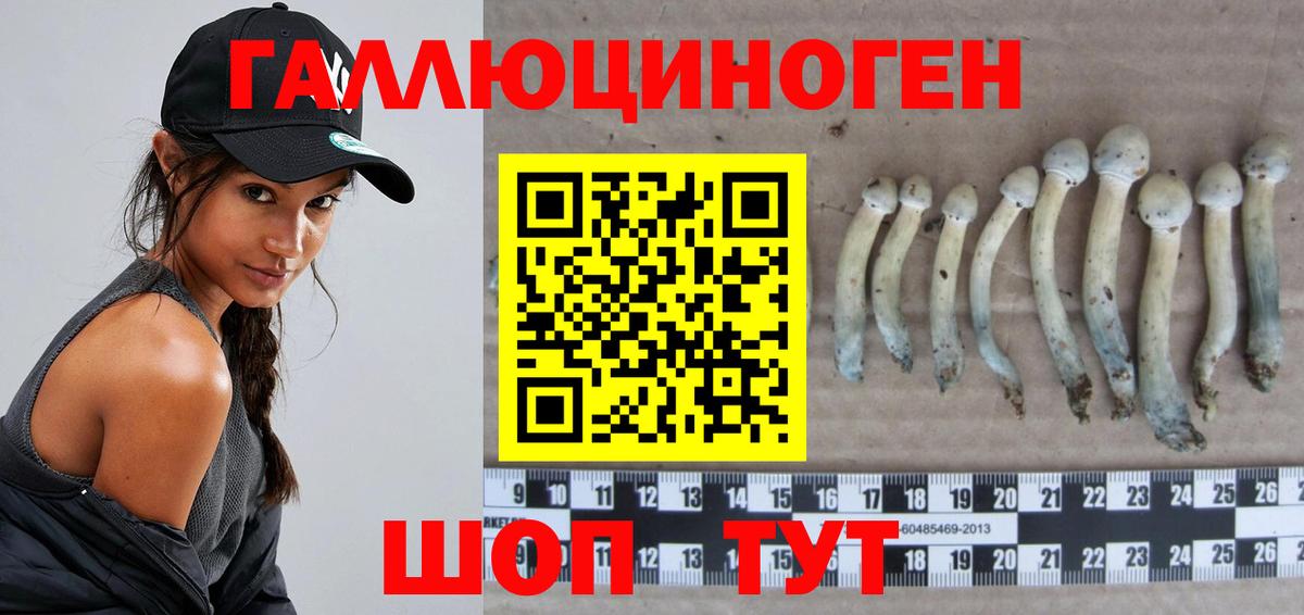 Псилоцибиновые грибы MAGIC MUSHROOMS Выборг